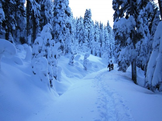 Ilgaz Küçükhaçet Tırmanışı, 2015