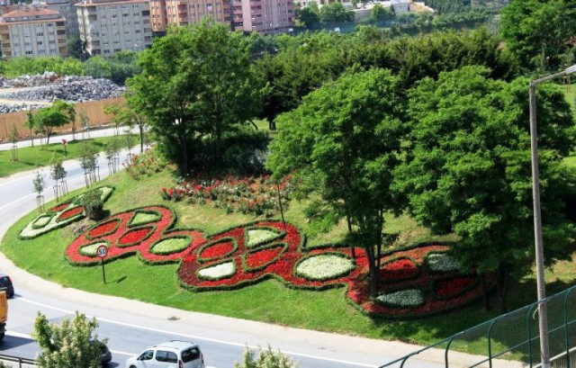 İstanbul Otoban yol ağaçlndırma Çalışmaları 2015