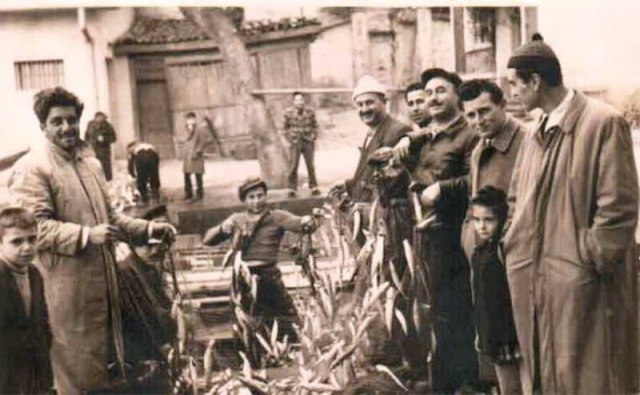 Bir Zamanlar Marmara, İstanbul Balık Manzara Fotoğrafları