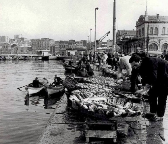 Bir Zamanlar Marmara, İstanbul Balık Manzara Fotoğrafları