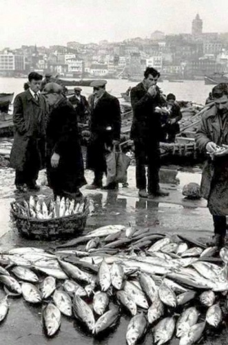 Bir Zamanlar Marmara, İstanbul Balık Manzara Fotoğrafları