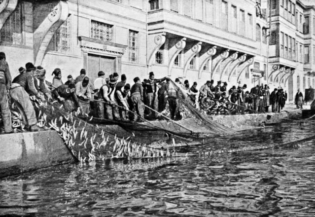 Bir Zamanlar Marmara, İstanbul Balık Manzara Fotoğrafları