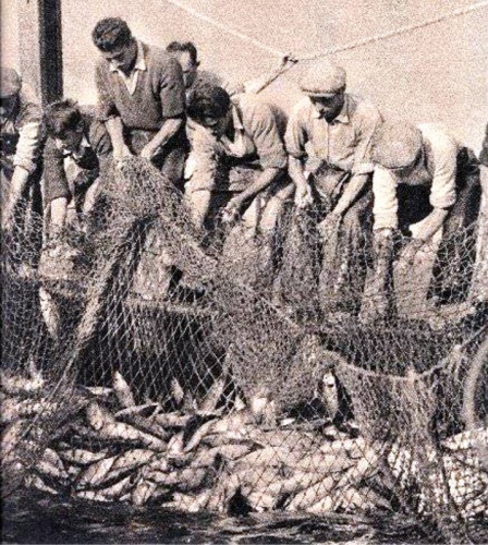 Bir Zamanlar Marmara, İstanbul Balık Manzara Fotoğrafları