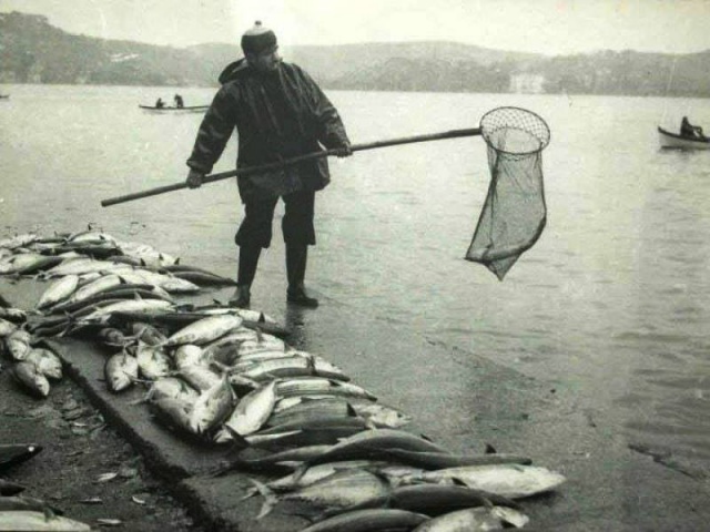 Bir Zamanlar Marmara, İstanbul Balık Manzara Fotoğrafları