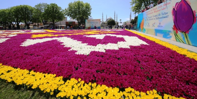 İstanbul Lale Festivali, Canlı Lale Halı Resimleri 2017