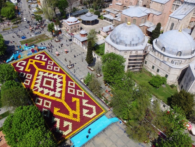 İstanbul Lale Festivali, Canlı Lale Halı Resimleri 2017