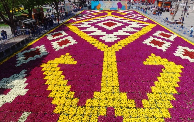 İstanbul Lale Festivali, Canlı Lale Halı Resimleri 2017