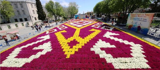 İstanbul Lale Festivali, Canlı Lale Halı Resimleri 2017