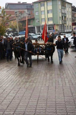 İstiklal Yolu Yürüyüşü, Ilgaz Çankırı  2014