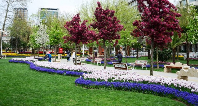 Kadıköy Göztepe Parkı Lale Resimleri 2017