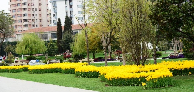 Kadıköy Göztepe Parkı Lale Resimleri 2017