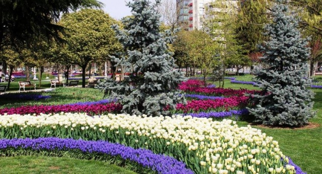 Kadıköy Göztepe Parkı Lale Resimleri 2017