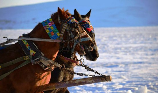 Kış Manzaraları, Kars Çıldır GölüKış Manzaraları,