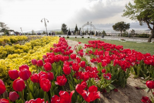 İstanbul, Emirgan, Lale Festivali 2016