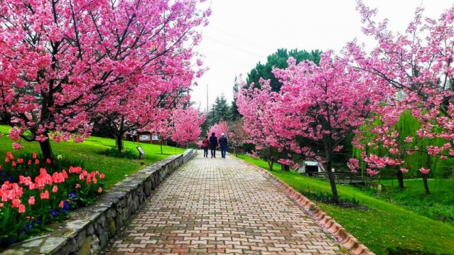 Nezahat Gökyiğit Botanik Bahçesi, Ataşehir