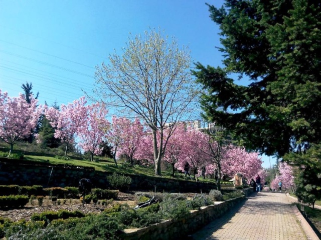 Nezahat Gökyiğit Botanik Bahçesi, Ataşehir