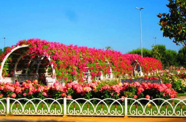 Park, Bahçe Peyzaj Resimleri 2019