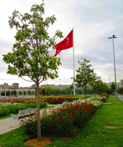 Park, Bahçe Peyzaj Resimleri 2019