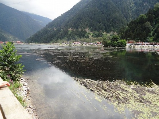 Trabzon Uzungöl Can Çekişiyor