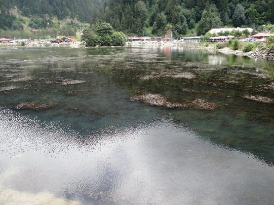 Trabzon Uzungöl Can Çekişiyor