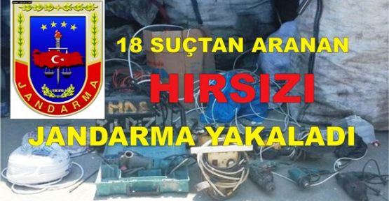 18 SUÇTAN ARANAN HIRSIZI JANDARMA YAKALADI‏