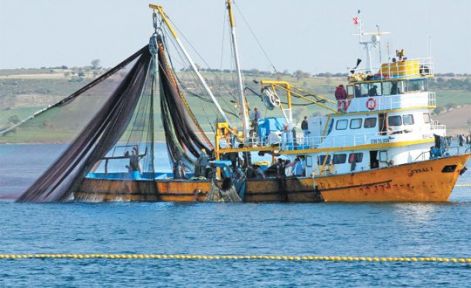 1 Eylül'de tavadaki balığın fiyatı yarı yarıya düşecek