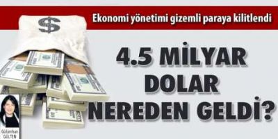 Merkez Bankası, Ekonomi yönetimi soruyor 4.5 milyar dolar nereden geldi?