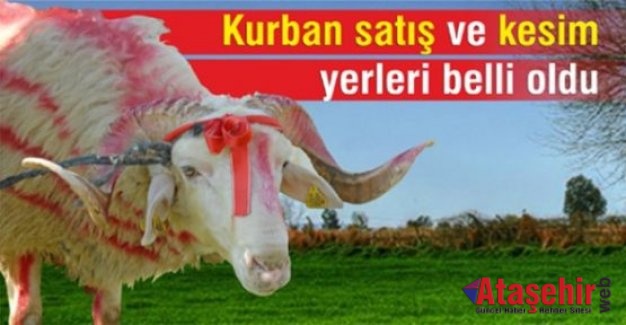 İstanbul'da kurban satış ve kesim yerleri belirlendi