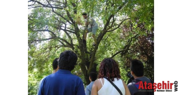 Kadıköy'de gençler Kuşlara yuva yaptı