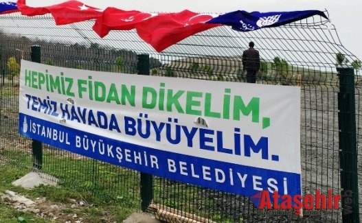 İBB KARBON AYAK İZİ HATIRA ORMANI