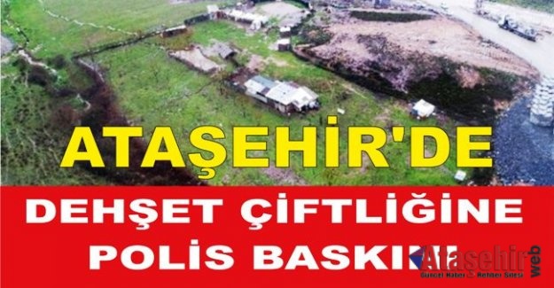 Ataşehir'de Dehşet Çiftliğine polis baskını