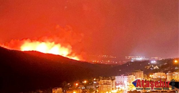 Hatay orman yangını devam ediyor