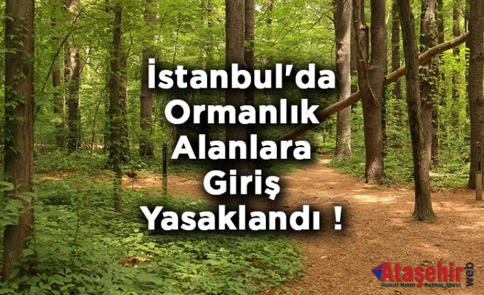 İstanbul Valiliği ormanlık Alanlara Girişleri Yasakladı