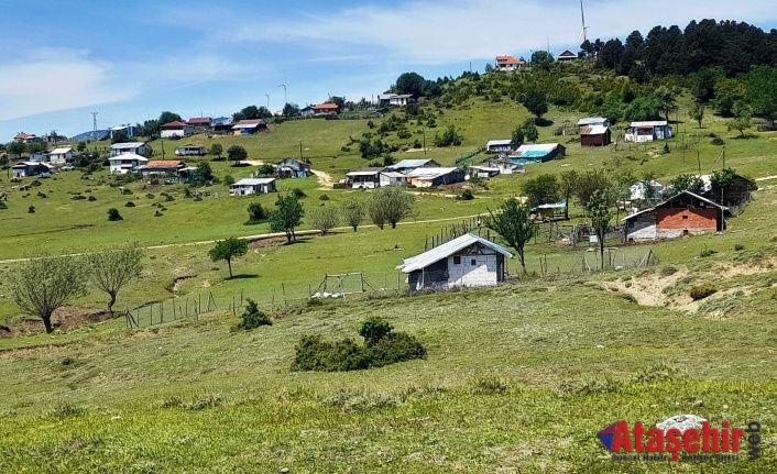 TARAKLI, KARAGÖL YAYLASI 