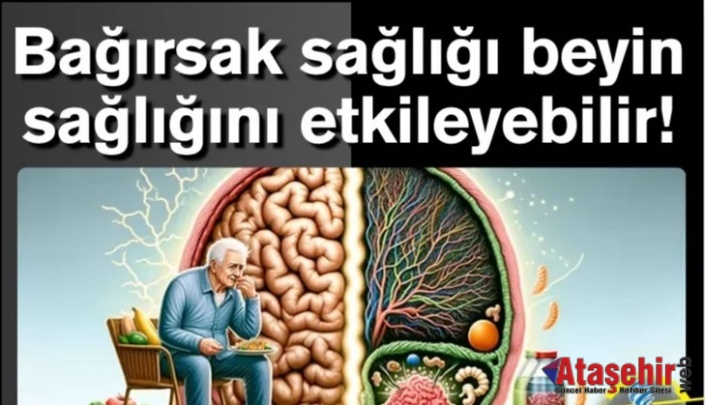 Bağırsak sağlığı beyin sağlığını etkileyebilir!