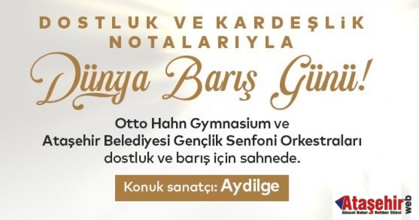 DÜNYA BARIŞI İÇİN ORTAK KONSERLER