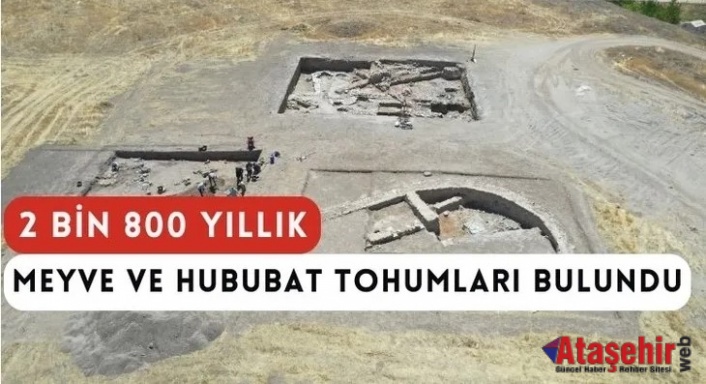 Kastamonu'da 2 bin 800 yıllık sarımsak bulundu