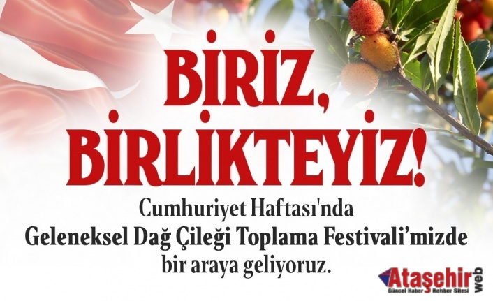 ATAŞEHİR’DE DAĞ ÇİLEĞİ TOPLAMA FESTİVALİ