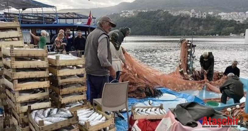 Bizim tutacağımız balığı palamut tuttu ve yedi