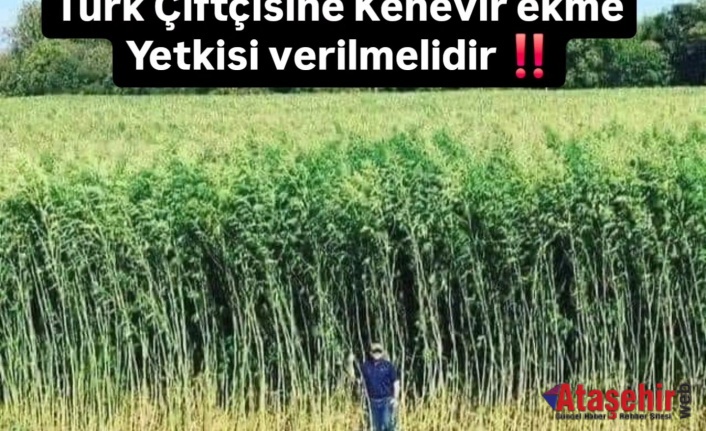 Türk Çiftçisine Kenevir Ekme Yetkisi Verilmelidir!