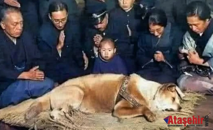 Sadık köpek Hachiko'nun hikayesi