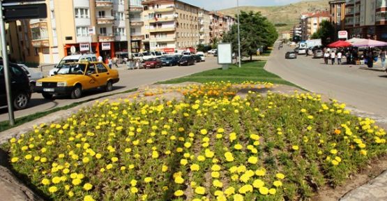 Çankırı 50 Bin Çiçekle Renklendi