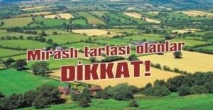 Miraslı tarlası olanlar dikkat!