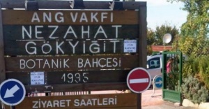 Ataşehir'de Betona İnat Doğal Hayat!