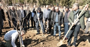 Beykoz'da Meyve Bahçesine İlk Fidanlar Dikildi