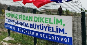 İBB KARBON AYAK İZİ HATIRA ORMANI