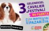 3. Geleneksel Cavalier Festivali