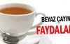 Beyaz çayın faydaları