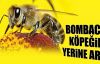 Bomba İmha Uzmanı ‘ARILAR’