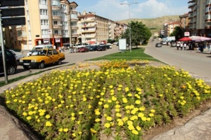 Çankırı Çiçeklerle Süslendi